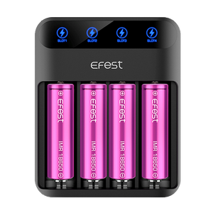 eFest Lush Q4 Charger